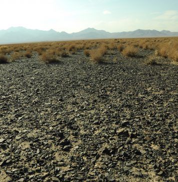 Drought in Iran Could Spark Malaria Pandemic, Health Official Warns