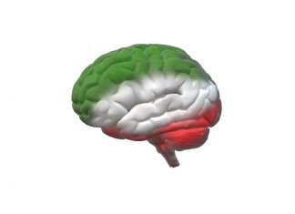 Brain Iran