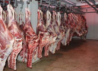 Iran Debates Whether to Go Ahead With Sales of Frozen Beef On the Internet