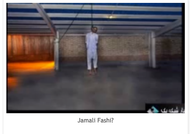 jamali-fashi9009