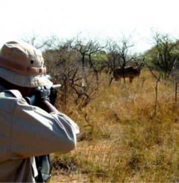 Iranian Official Criticizes Release of Trophy Hunting Video on Social Media