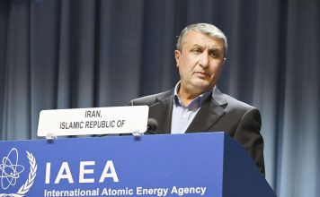 Iran’s Nuclear Chief in Moscow to Sign Power Plants Deal as UN Ponders Sanctions