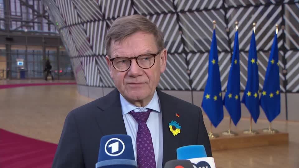 German Foreign Minister: Iran Must Stop Support for Hamas, Hezbollah and Houthis