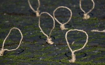 Islamic Republic Executed At Least 2,159 People Last Year, Amnesty Reports